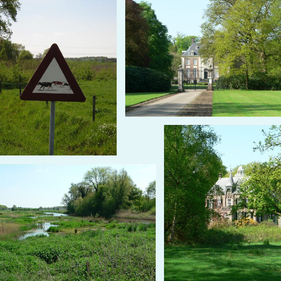 vreemde koeien, Huis Verwolde, moeras en landhuis bij Vorden