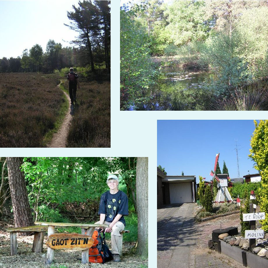 heide op 't Hengelse Zand, cachelocatie, gaot zit'n, alleen kleintjes hoor