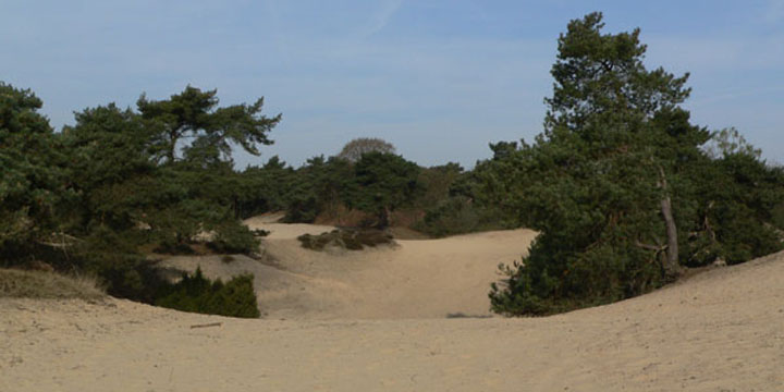 zandverstuiving bij Geijsteren