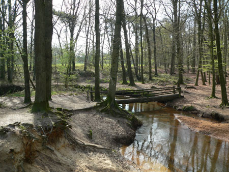 hier hoeven we niet overheen