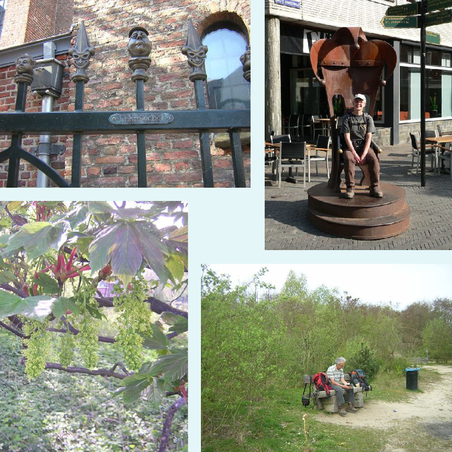 leutig hekje, op de narrentroon, de esdoorn bloeit, pauze in het Jammerdal