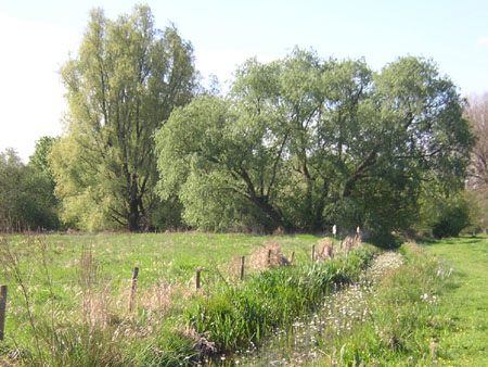 sloten met waterviolier