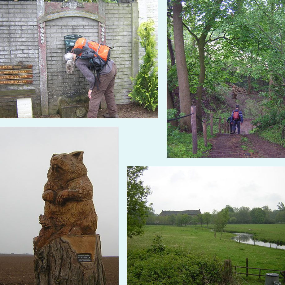 Wintraeker heilbron, afdaling op de Wanenberg, fraaie bever, bij kasteel Terborgh