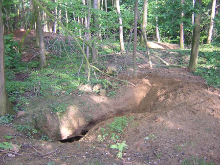 is dit een dassenburcht?