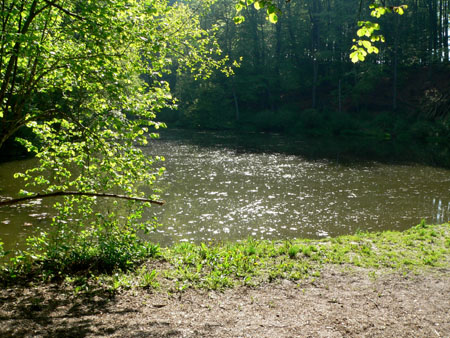 watertje in het Ravensbos