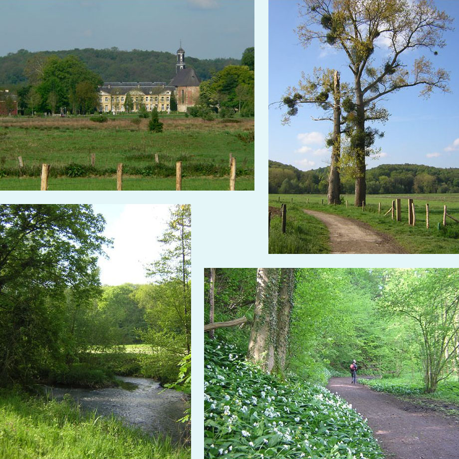 chateau St. Gerlach, in het Geuldal, bloeiende daslook