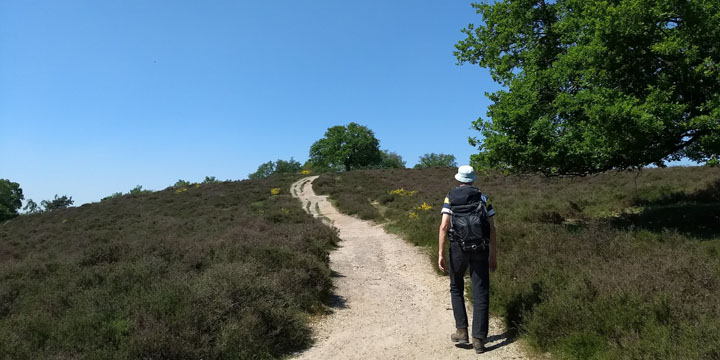 de Mookerhei