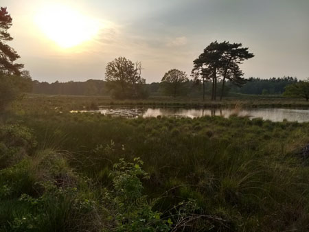 de avond valt