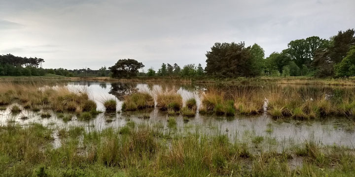 Hatertse en Overasseltse Vennen