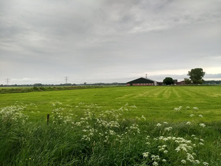boerenlandschap