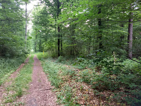 wandelen bij Bruchsal