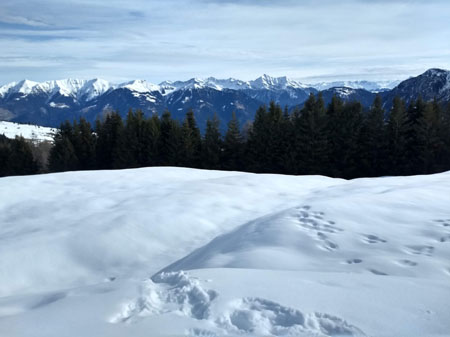 wat heeft hier gelopen