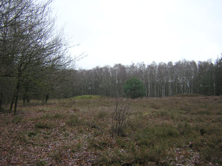 grafheuvels op de heide
