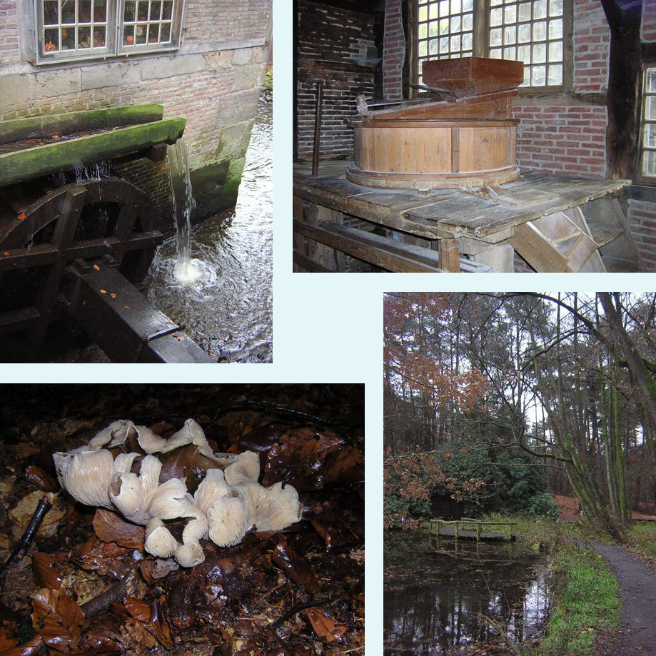 molen Bels, 't is herfst, Springendal