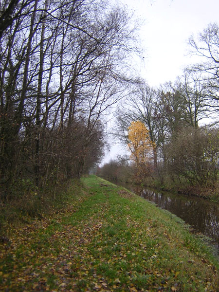 langs de Voltherbeek