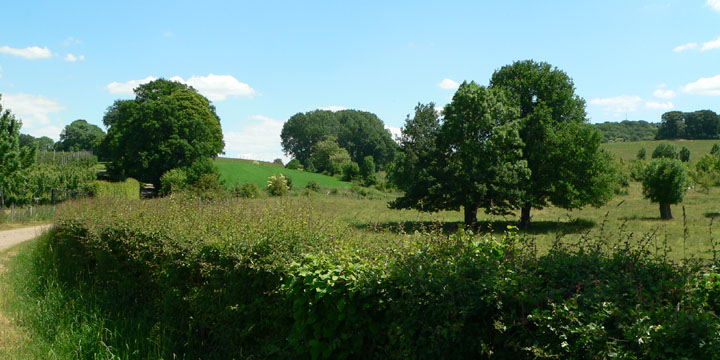 Drielandenpark bij Wolfhaag