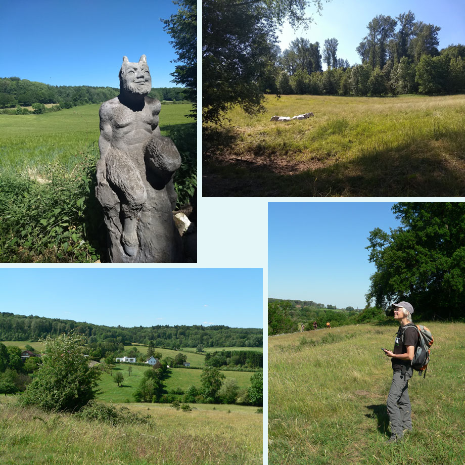 weitjes en heuvels rond Wolfhaag