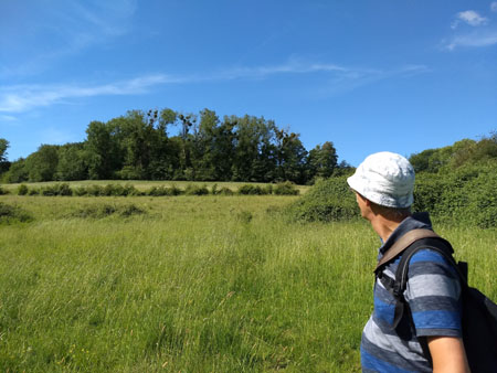 maretak bij Wolfhaag