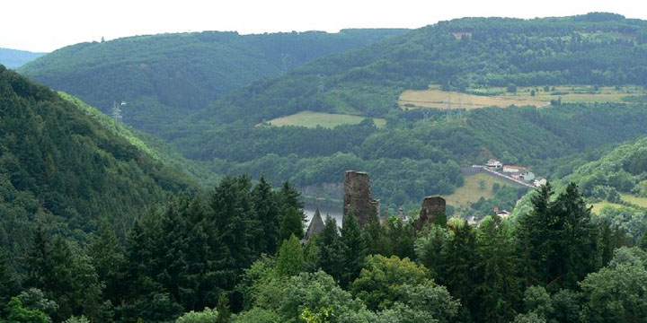 de ruine van Falkenstein