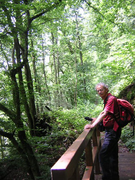 op weg naar Falkenstein