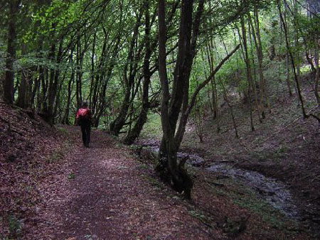 afdaling naar de Our