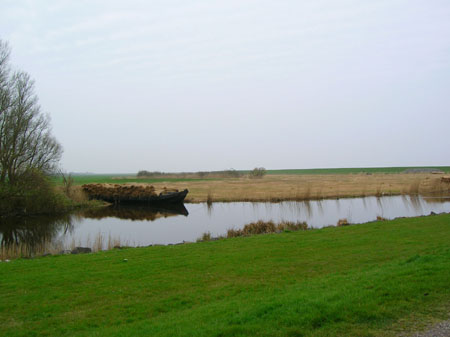 riet voor de dakdekkers