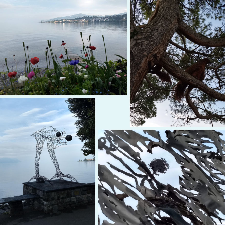 uitzicht over het meer; natuurkunst; draadmodel; oog voor detail