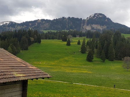 in de buurt van gstaad