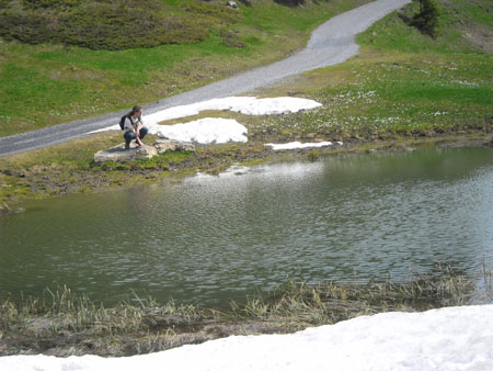 s zomers staan hier bankjes