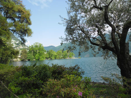 uitzicht over het meer