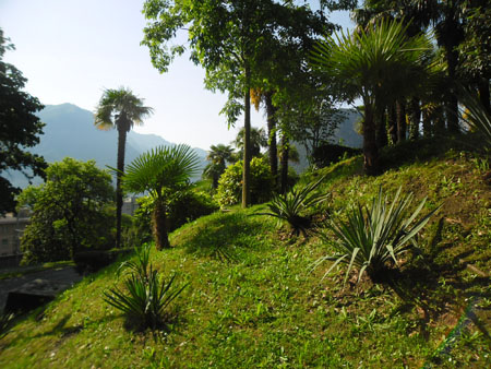 mediterraan hoekje van het park
