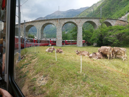 dit plaatje wil iedereen