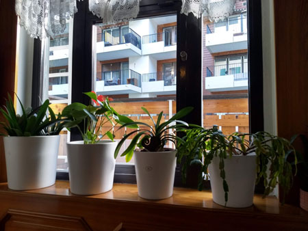 dezelfde potten als thuis